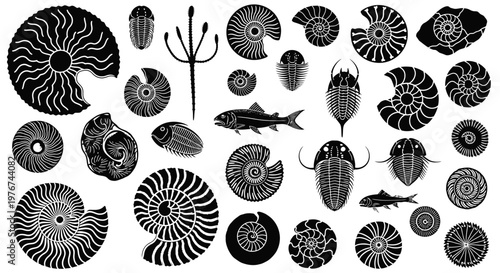 Ancient Ocean Fossil Silhouettes of Ammonites Trilobites and Prehistoric Marine Life Vector