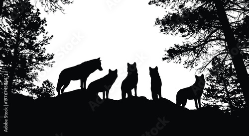 Title silhouetted wolf pack against bright sky a dramatic wilderness scene description a striking black and white image depicts a pack of