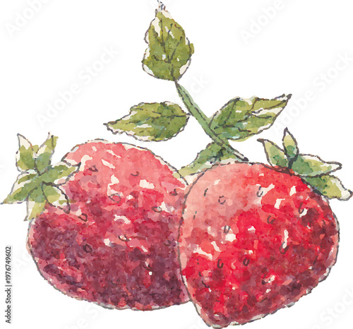 Strawberry watercolor illustration element isolated