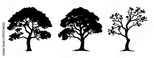 Money tree icon set with solid black icon on white background featuring passive income, finance, investment with icons and graphics
