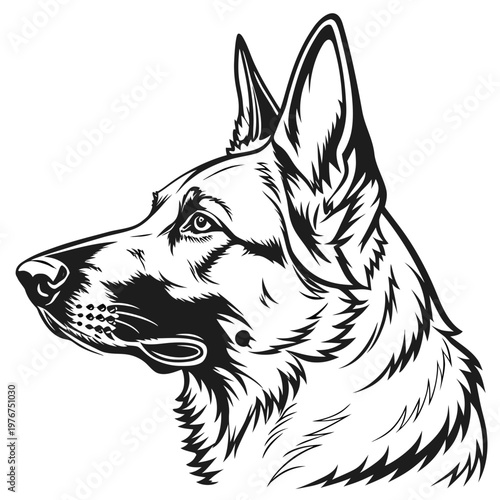 Detailed black and white line of a German shepherd dog head with pointed ears and fur texture silhouette