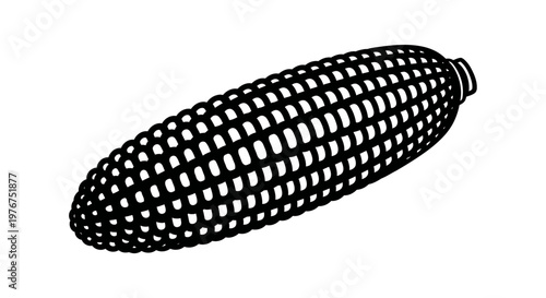 A black and white illustration of a single ear of corn