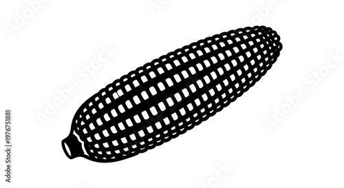 A black and white illustration of a single ear of corn