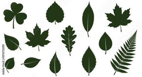 Collection of various dark green leaf silhouettes against a white background