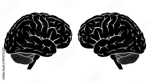 Two stylized human brains depicted in a black and white illustration
