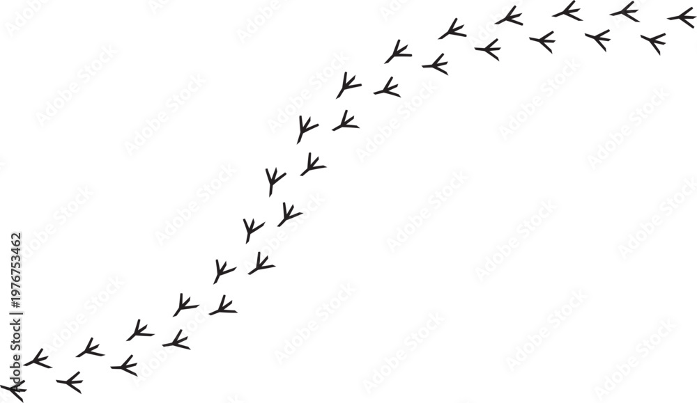 Obraz premium Bird footprint trail in diagonal path isolated on white background. Minimal animal track pattern for wildlife themes nature design branding and clean vector elements with simple graphic style.