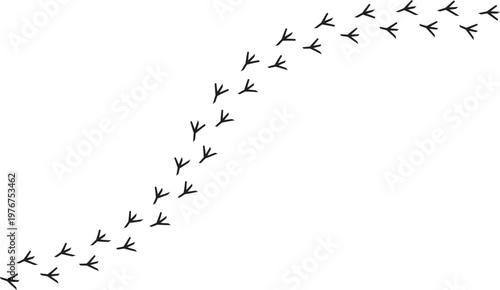 Bird footprint trail in diagonal path isolated on white background. Minimal animal track pattern for wildlife themes nature design branding and clean vector elements with simple graphic style.