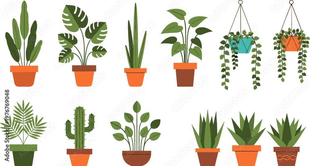 Φωτογραφία Set of Indoor Plants in Pots Including Cactus, Ferns, and Hanging Plants for Hom