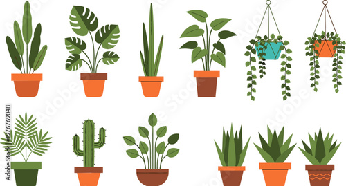 Φωτογραφία Set of Indoor Plants in Pots Including Cactus, Ferns, and Hanging Plants for Hom