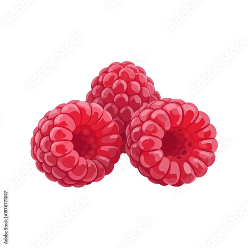 Illustration of three ripe red raspberries isolated on a white background, featuring detailed texture of drupelets and hollow centers in a clean graphic vector-like art style.
