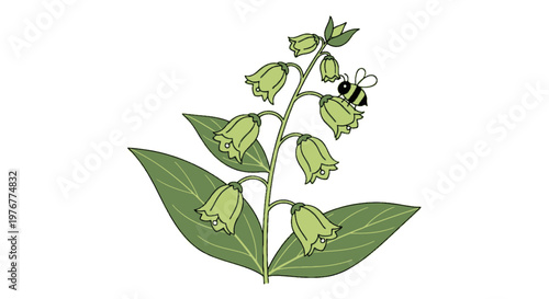 Charming illustration of lily of the valley flowers with a cute bumblebee visiting; delicate green blossoms and leaves botanical design