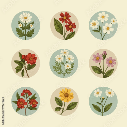 Vintage botanical illustration set containing nine circular floral medallions with detailed white daisies, red blossoms, pink flowers, and yellow blooms on green stems and leaves.