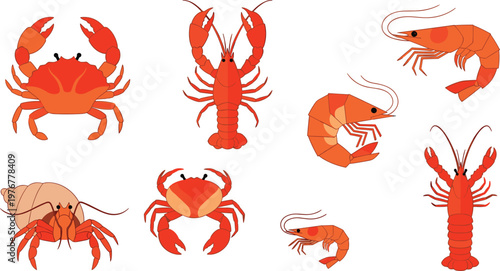 Seafood Vector Set with Crab Lobster Shrimp Prawn and Hermit Crab Isolated on White Background