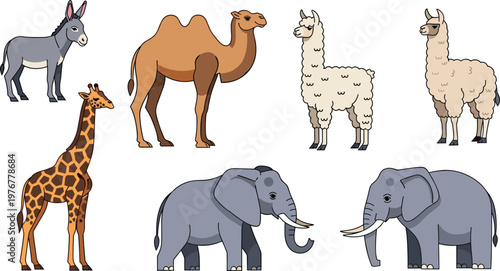 Farm and Wild Animal Vector Set with Donkey Camel Llama Alpaca Giraffe Elephant Isolated on White Background