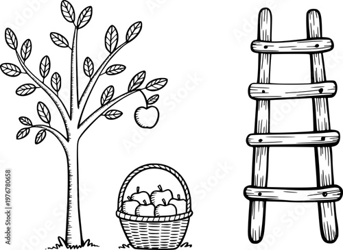 Hand drawn apple tree with basket of fruit and wooden ladder white background