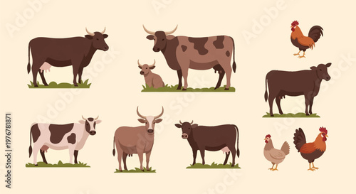 A collection of vector illustrations featuring domestic farm animals such as dairy cows, bulls with horns, a calf, roosters, and hens standing on green grass patches.