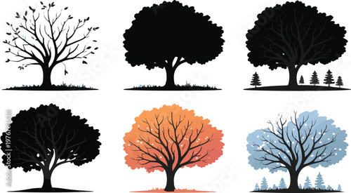 Illustrated collection of seasonal trees with different foliage styles and colors