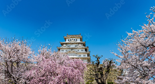姫路城_江戸時代初期の建築がそのまま残る「現存12天守」の一つ、特に大天守と3つの小天守が渡櫓で結ばれた連立式天守の姿は壮観