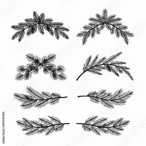 Black ink hand-drawn evergreen pine branch illustrations and coniferous dividers isolated on white, featuring detailed needle textures for winter holiday botanical wedding designs.