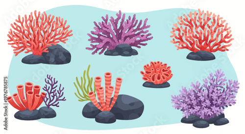 Collection of stylized colorful coral reef elements including branching red and purple corals, tubular sponges, sea fans, and green algae growing on dark grey underwater rocks.