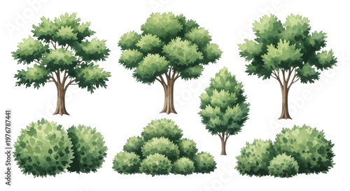 Watercolor illustration set of various deciduous trees and green bushes isolated on white background. Features four distinct tree shapes and three types of rounded shrubs with textured foliage.