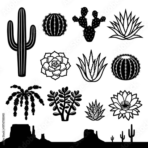 Cactus and succulent set: desert plants, saguaro, aloe vera, agave, and echeveria icons in bold outline
