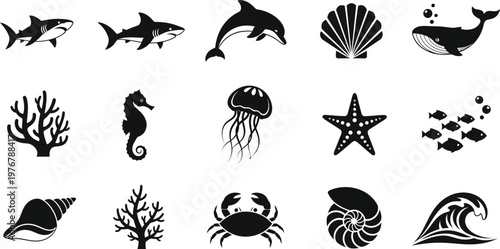 Collection of black and white marine life and ocean shark dolphin whale seashell starfish