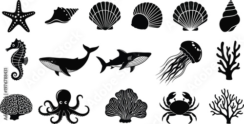 Collection of black and white marine life and seashell starfish conch scallop seahorse