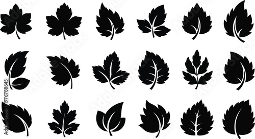 Collection of black silhouette leaf with vein details leaves white