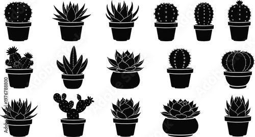 Collection of black silhouette potted cacti and succulents on white background cactus potted plant black and white