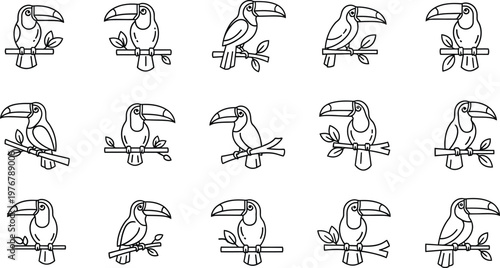 Fifteen black line toucans perched on branches with leaves bird animal nature wildlife