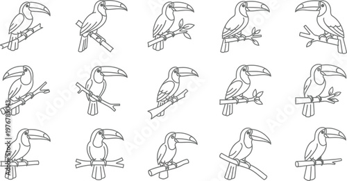 Fifteen toucan bird perched on branches in a simple line style line simple