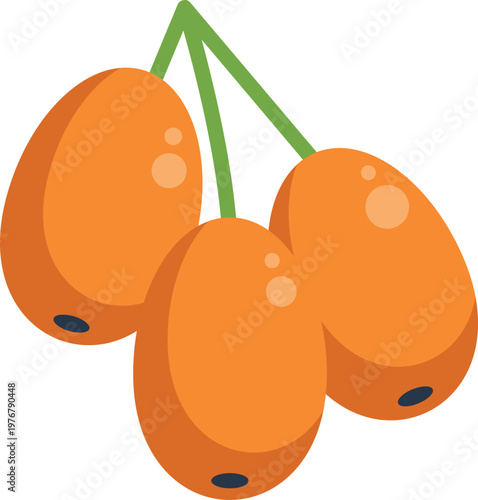 Three orange sea buckthorn berries hanging from green stems on white background