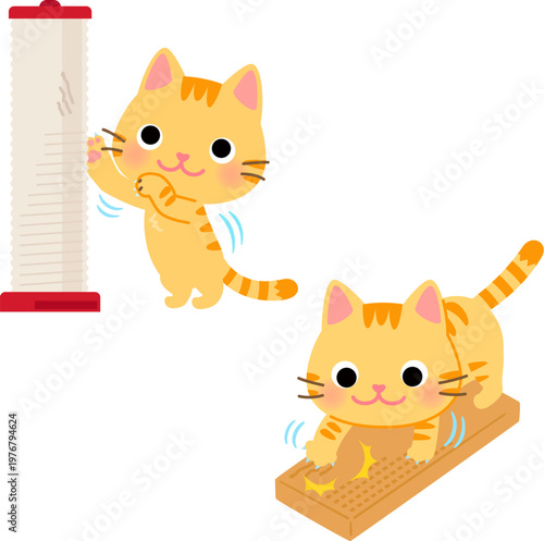 麻紐の爪とぎと段ボールの爪とぎを使う猫