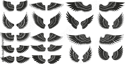 Vector Set of Detailed Angel and Bird Wings for Fantasy, Mythology, and Decorative Illustrations