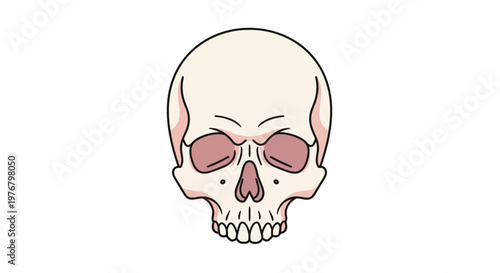 Simple Cartoon Skull Illustration