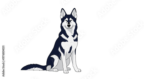 Majestic husky dog with thick blue and white fur sitting and winking with a friendly and happy expression on its face.