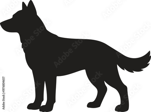 Clean silhouette of a German Shepherd dog standing alert, a loyal canine companion, isolated vector illustration.