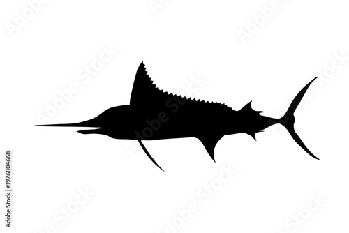 Striped marlin silhouette, marine fish black icon vector