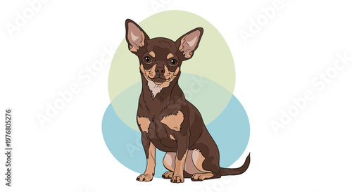 Small brown and tan chihuahua dog sitting calmly against a background of soft colored circles on a white surface.