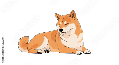 Content orange shiba inu dog lying down comfortably with its eyes closed to show relaxation and peace on a plain white background for pet care.