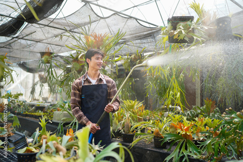 Cuadro en lienzo A gardener with a watering hose and a sprayer water working in greenhouse and watering fern
