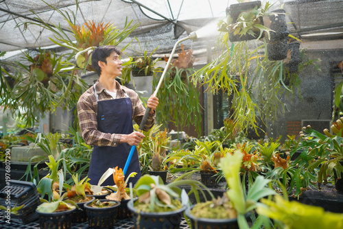 Картината върху платно A gardener with a watering hose and a sprayer water working in greenhouse and watering fern