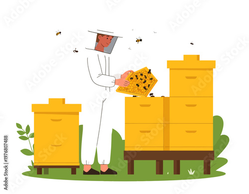 Beekeeper in protective white suit collecting honey from beehives. Agriculture, honey production, and apiculture concept. Flat vector illustration.