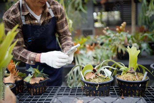 Obraz na plátně asian gardener man or owner is working inside greenhouse using smartphone take p