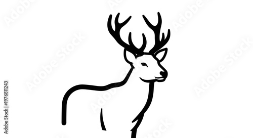 Black and white illustration of a deer with large antlers on a white background
