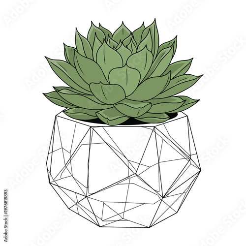 Geometric Planter with Green Succulent Plant Illustration