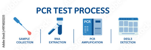 PCR Test Process Infographic Flat Vector Molecular Diagnostics Workflow with Sample Collection RNA Extraction Amplification and Detection
