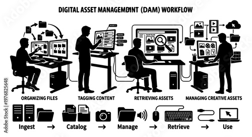 Digital Asset Management DAM workflow infographic, business process for organizing files and tagging content, managing creative assets vector