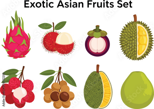 Exotic Asian Fruits Set Illustration featuring Dragon Fruit, Rambutan, Mangosteen, Durian, Lychee, Longan, Jackfruit, and Pomelo